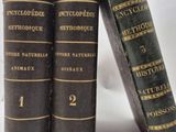 trois livres sont empilés sur une surface blanche