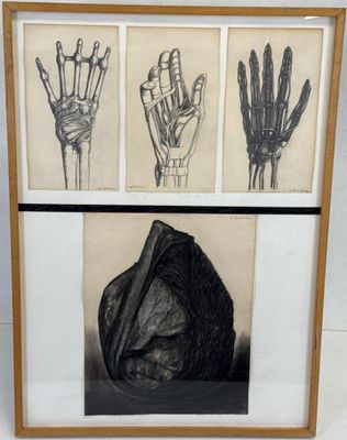 Leonardo DELFINO (1928-2022) Le corps humain
