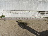 l'ombre d'une personne tenant un skateboard devant un mur en béton