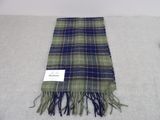 a green and blue plaid scarf with fringes on a white surface
