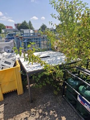 beaucoup de déchets par terre, près d'un arbre