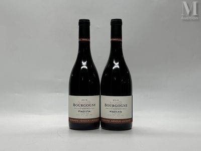 BOURGOGNE, "Pinot fin", Domaine ARNOUX-LACHAUX, 2015
