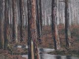 un tableau représentant un ruisseau qui traverse une forêt