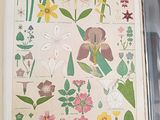 a picture of a book with a bunch of flowers on it
