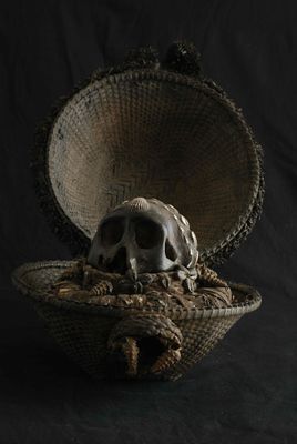 un crâne dans un panier en osier contenant un serpent