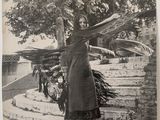 photo en noir et blanc d'une femme debout sur un escalier