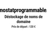Photo 1/1 du lot