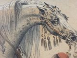 a drawing of a horse with a hat on it