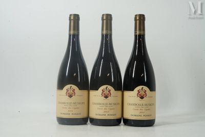 trois bouteilles de vin posées sur une table blanche