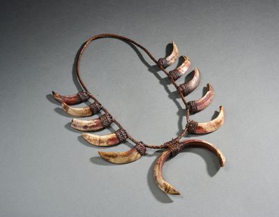 un collier composé de cornes sur un fond gris