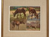 painting of a group of deer grazing in a field with trees in the background
