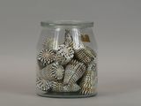 a glass jar filled with sea shells on a table