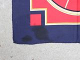 a red and blue flag with a picture of a lion on it