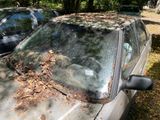 une voiture dont le pare-brise est recouvert de feuilles mortes
