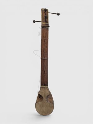 an old musical instrument with a wooden body on a white surface