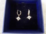a close up of a pair of earrings in a blue box