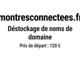 Photo 1/1 du lot