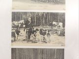 deux vieilles photos en noir et blanc représentant des chevaux et des personnes dans les bois