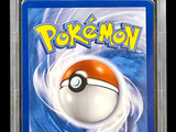 the card is in a plastic case with a pokemon poke poke poke poke poke poke poke poke poke poke poke poke poke poke poke poke poke poke poke poke poke poke