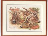 reproduction encadrée représentant un cerf et une antilope se reposant dans l'herbe