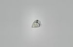 Diamant sur papier taille poire pesant 1,01 ct
Couleur F - Pureté...