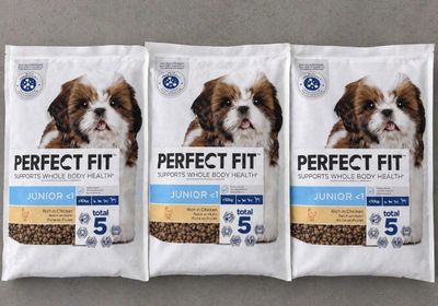 Lot de 3 gros sacs de 6 kg de croquette chien perfect fit DD…