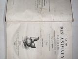 a book with a picture of an elephant inside of it