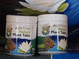 deux boîtes de pastilles pour plantes posées sur une table