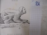 un livre sur lequel est dessiné un singe