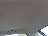 a dog sitting in the back seat of a car