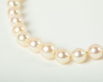 a close up of a white pearl necklace on a white surface