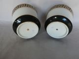 pair of black and white ceramic salt and pepper shakers