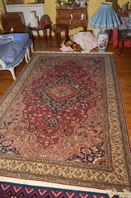 un grand tapis sur le sol d'un salon