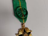 a green ribbon with a gold star on it