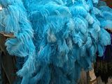 une grande quantité de plumes bleues exposées dans un magasin