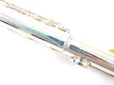 a close up of a silver and gold fountain pen