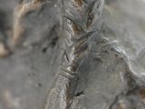 a close up of a metal object with a knot on it