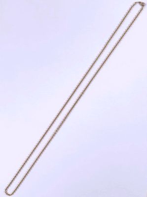 silver plated necklace with a long chain and a clasp