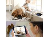 two pictures of a woman taking a picture of a dog and a baby