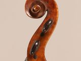 a close up of the back of a violin