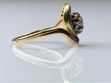 an image of a gold ring with a skull on it