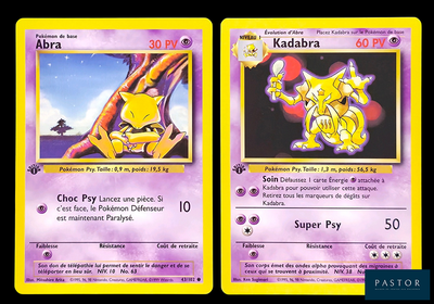 deux cartes Pokémon sur lesquelles figurent un chat et un chien