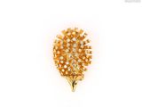 an image of a gold brooch with diamonds on a white background