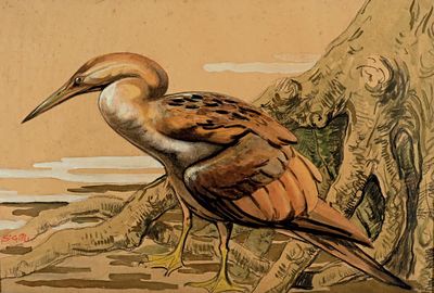 une peinture représentant un oiseau posé au sol
