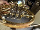 a person holding a brass french horn in their hand