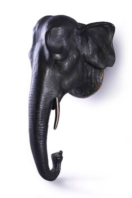 an elephant head mounted on the wall of a room