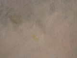 a close up of a painting of a cat on a window sill