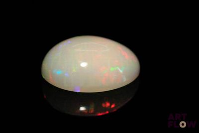 an oplite in the dark with a black background