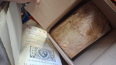 a box with a loaf of bread inside of it