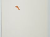 an orange bird flying in the sky over a white square